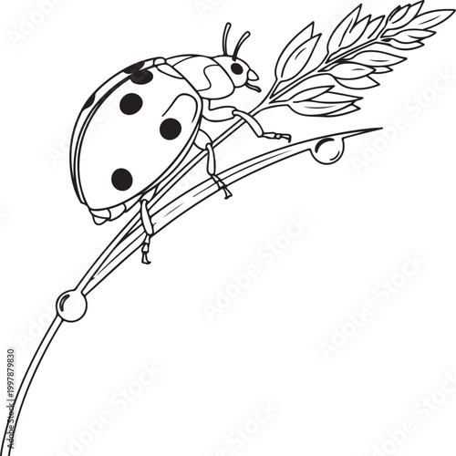 Minimalist line art ladybug on grass vector