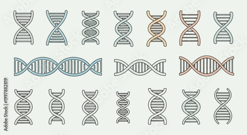 DNA Double Helix Molecular Structure.