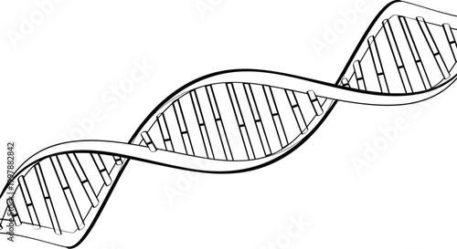 DNA Double Helix Structure Model.