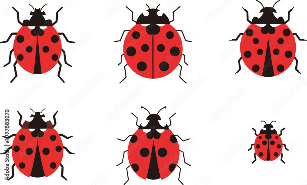 Fototapeta premium Vector Illustrations of Red Ladybugs with Black Spots for Nature, Garden, and Insect Art Designs