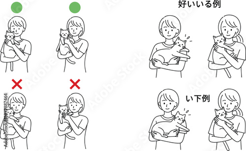 Correct and incorrect ways to hold a cat vector illustration pet handling guide with good and bad examples line art design