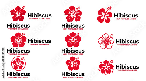 Hibiscus Flower Logo Collection - Simple Red Floral Icons