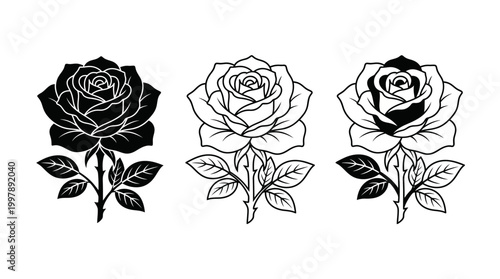 Artistic interpretation of blooming roses in three distinct graphic styles