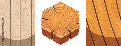 Set of detailed wood textures and tree trunk cross section vector illustration with natural rings grain patterns for design backgrounds and forestry themes