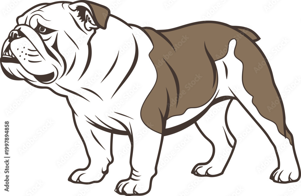 Fototapeta premium British Bulldog Full Body Animal Illustration. Bulldog Dog Breed Closeup Pet Design. British Bulldog Puppy Cute Animal Scene. Bulldog Dog Side View Realistic Illustration. British Bulldog Domestic Pet