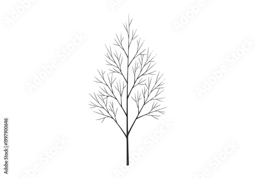 Minimalist Black and White Tree Branch Illustration.