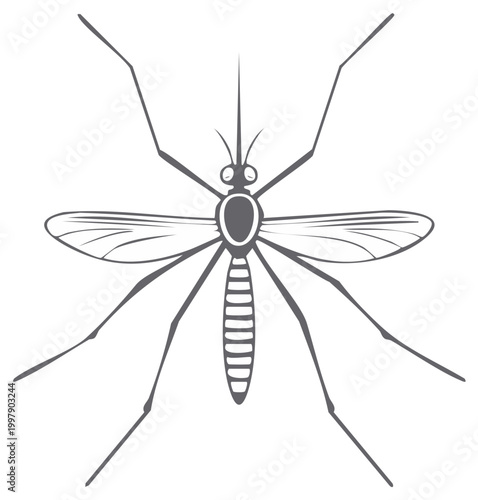 Stylized Mosquito Illustration: Insect with Wings, Long Legs, and Detailed Body