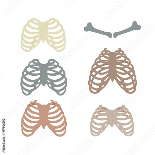 Set of Rib Cage Illustrations in Pastel Tones with Bone Elements