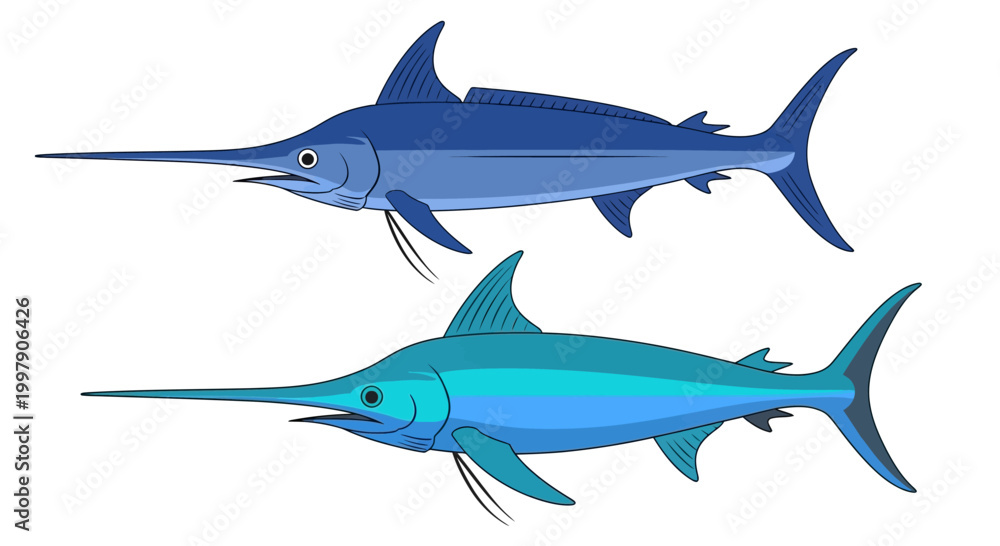 Obraz premium Two Blue Marlin Fish Illustration, Swordfish Marine Life