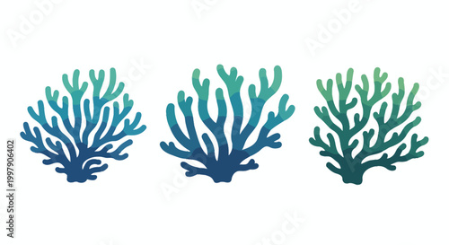 Three Blue-Green Coral Branches on White Background, Underwater Life Illustration