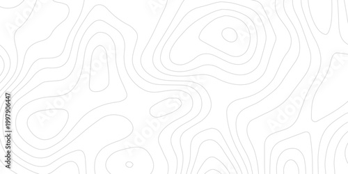 Clean Topographic Map Illustration with Smooth Flowing Elevation Contour Lines
High Detail Terrain Pattern on White Background for Modern Graphic and Print Design