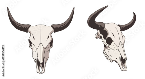 Two Views of a Cow Skull: Front and Side Profile, Western Decor, Rustic Charm