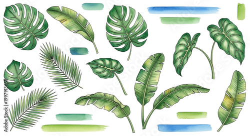 Beautiful Watercolor Tropical Leaves Collection Botanical Elements