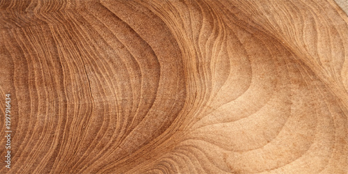 A natural brown oak wood texture background features an old timber grain pattern on a weathered plank surface with a macro closeup of hardwood rings