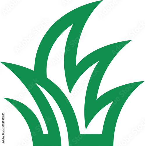 Green Fresh Grass Nature Vector