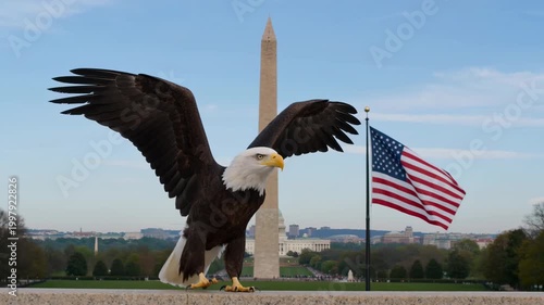 Majestic bald eagle soars near Washington Monument and American flag