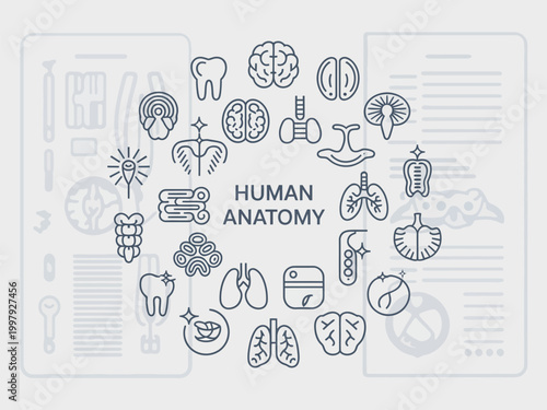 Collection of stylized human anatomy icons presented in a visually engaging circular composition with text