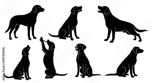 Set of Black Labrador Dog Silhouettes in Various Poses