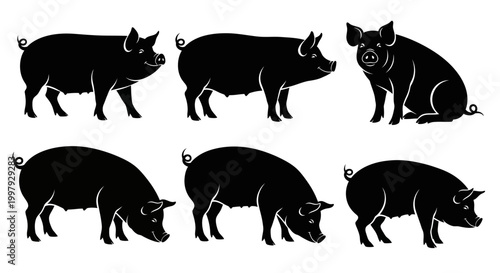 Set of Pig Silhouettes in Various Poses
