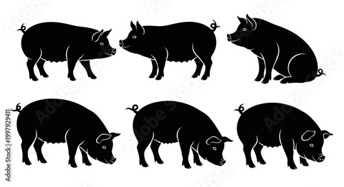 Set of Black Pig Silhouettes in Various Poses