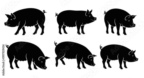 Set of six black silhouette pigs in different poses on a white background.