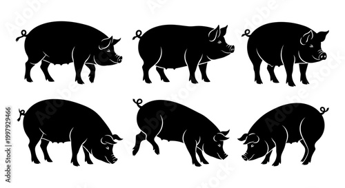 Set of Black Pig Silhouettes in Various Poses