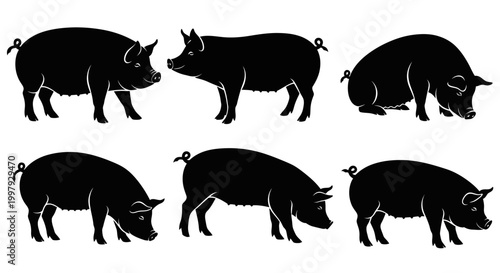 Set of Black Silhouette Pigs in Various Poses