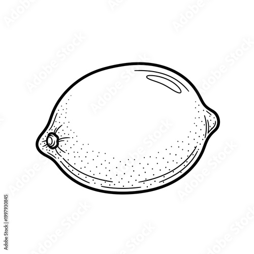 Black and white lemon illustration.