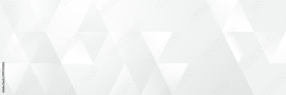 Fototapeta premium Abstract pattern white geometric banner design background.