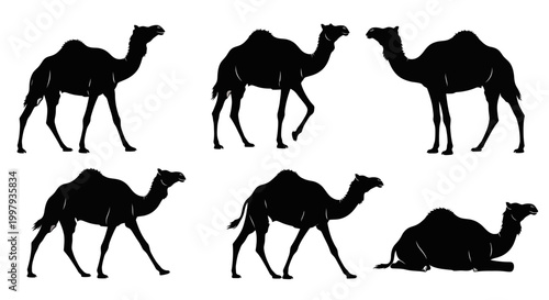 Camel Silhouettes Collection Set Isolated on White Background