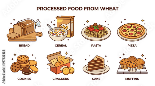 An appealing vector illustration showcasing common processed food products derived from wheat, like bread, cereal, pasta, pizza, cookies, crackers, cake, and muffins.