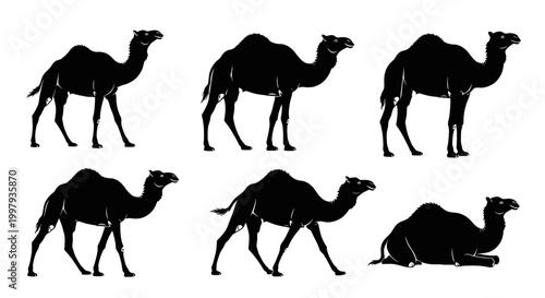 Camel Silhouettes Set: Dromedary Poses and Walking Figures