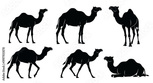Camel Silhouettes Set: Dromedary Poses Collection