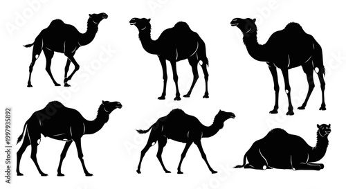Camel Silhouettes Set: Dromedary Poses Collection