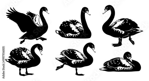 Black Swan Silhouette Set Vector Illustration