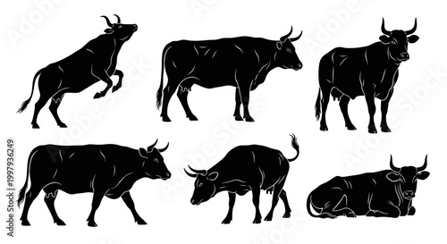 Bull Silhouettes Set in Various Poses ? Farm Animal Vector Collection
