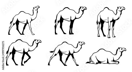 Camel Set: Collection of Dromedary Silhouettes in Various Poses