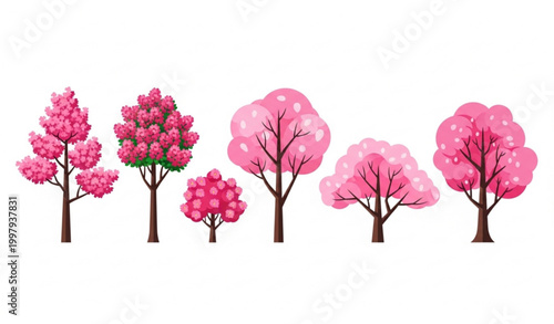 Tableau sur toile Flowering pink sakura and crape myrtle tree vector lineup with ornamental garden
