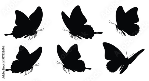 A collection of six detailed butterfly shapes presented in stark black silhouette