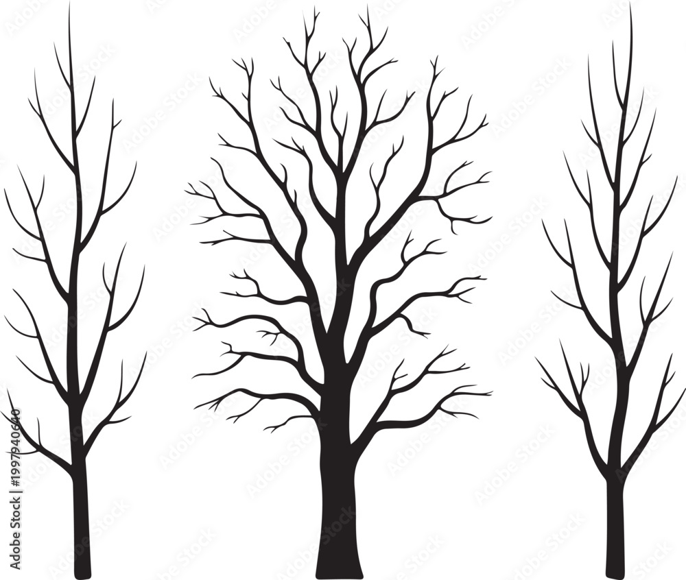 Obraz premium Vector silhouette of tree.