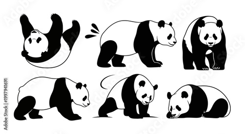 Cute Panda Bear Set, Hand Drawn Vector Illustration of Giant Pandas in Various Poses