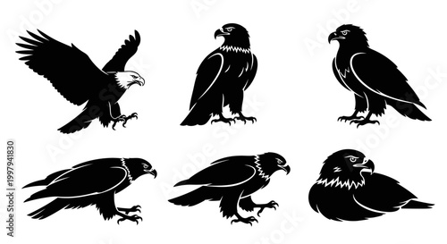 Eagle Silhouettes Set: Collection of Majestic Birds of Prey in Various Poses