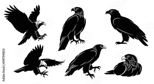 Eagle Silhouettes Set: Collection of Majestic Birds of Prey in Various Poses