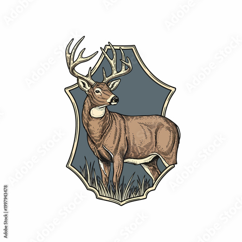 Vintage whitetail deer buck standing in grass field retro badge style illustration