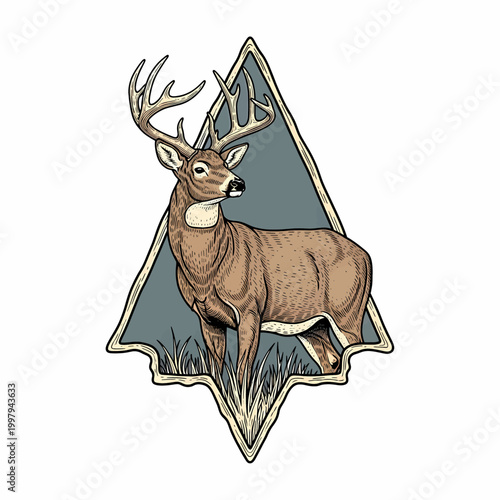 Vintage whitetail deer buck standing in grass field retro badge style illustration