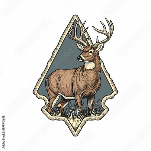 Vintage whitetail deer buck standing in grass field retro badge style illustration