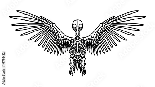 Detailed illustration of a bird skeleton with wings spread wide in a graphic design.