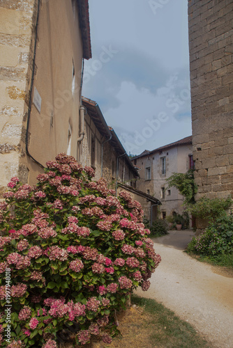 Traditional French alley with blooming hydrangeas in Saint-Jean-de-Cole