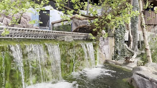 Small waterfall cascading down mossy rocks in lush green forest garden