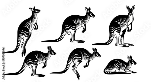 Kangaroo Silhouette Collection in Various Poses ? Australian Wildlife
